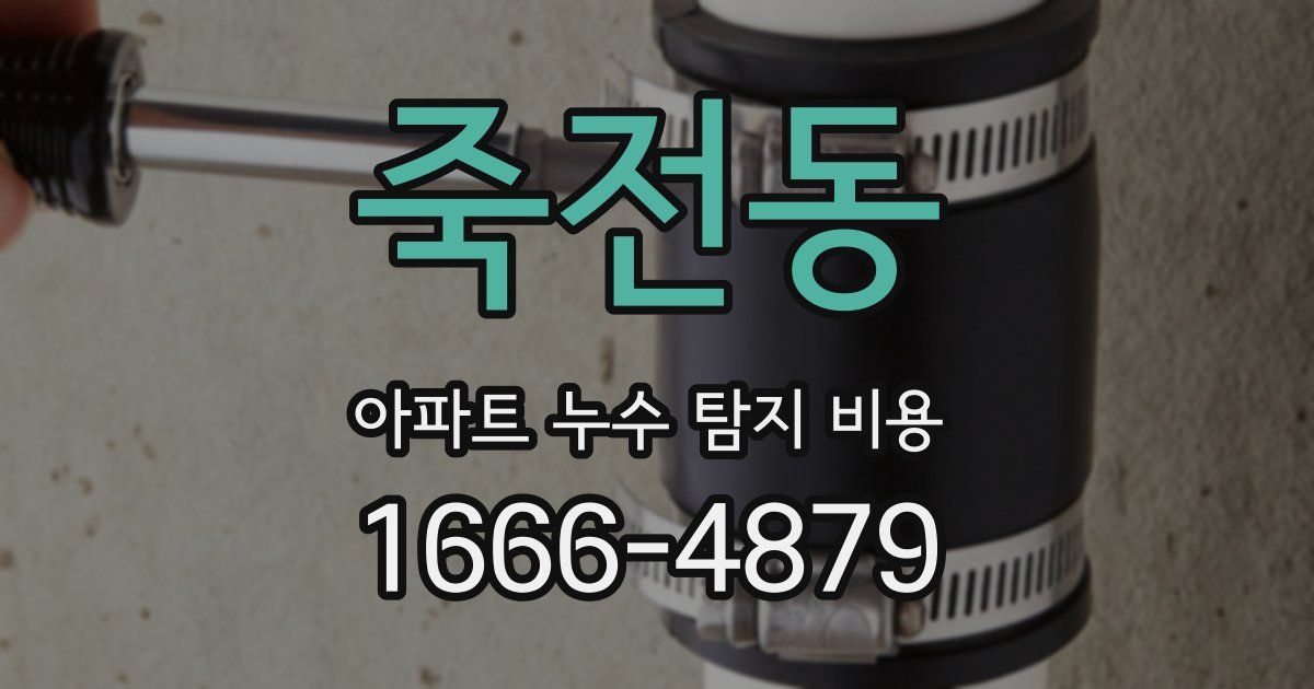 죽전동 아파트 누수 탐지 비용