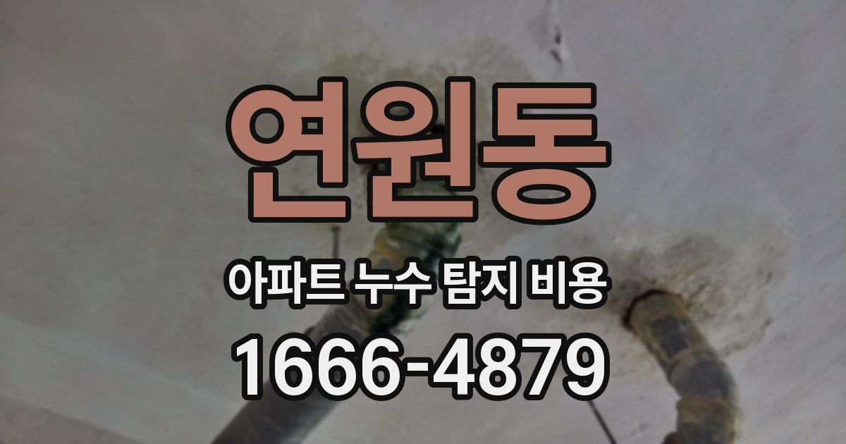 연원동 아파트 누수 탐지 비용
