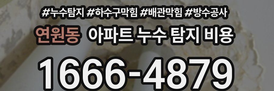 연원동 아파트 누수 탐지 비용
