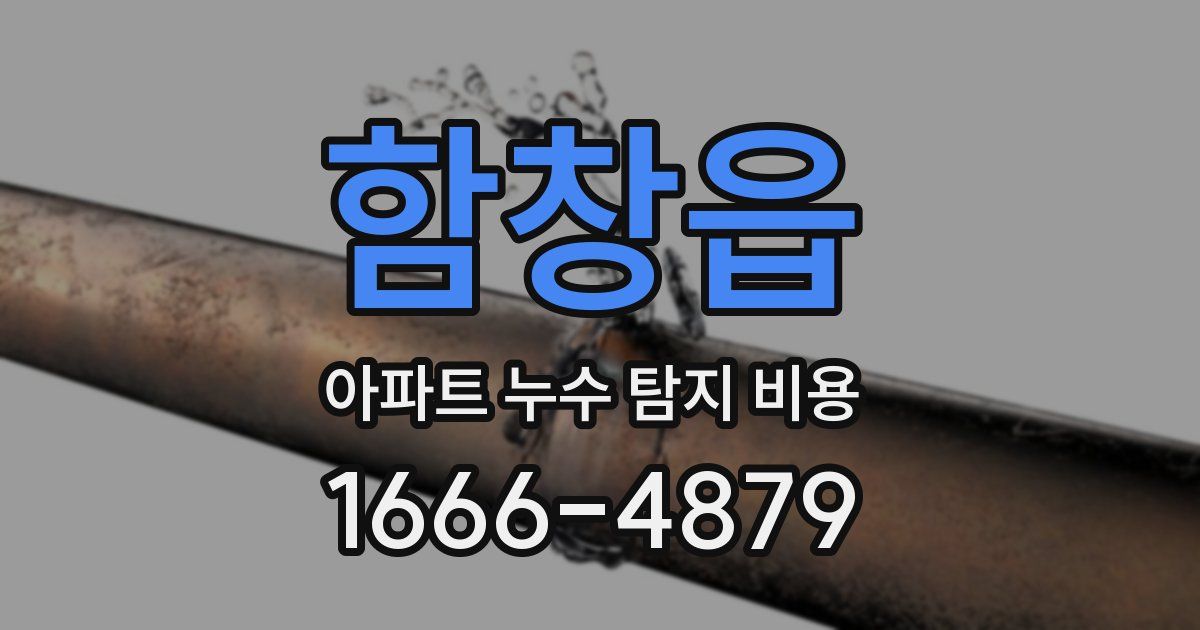 함창읍 아파트 누수 탐지 비용