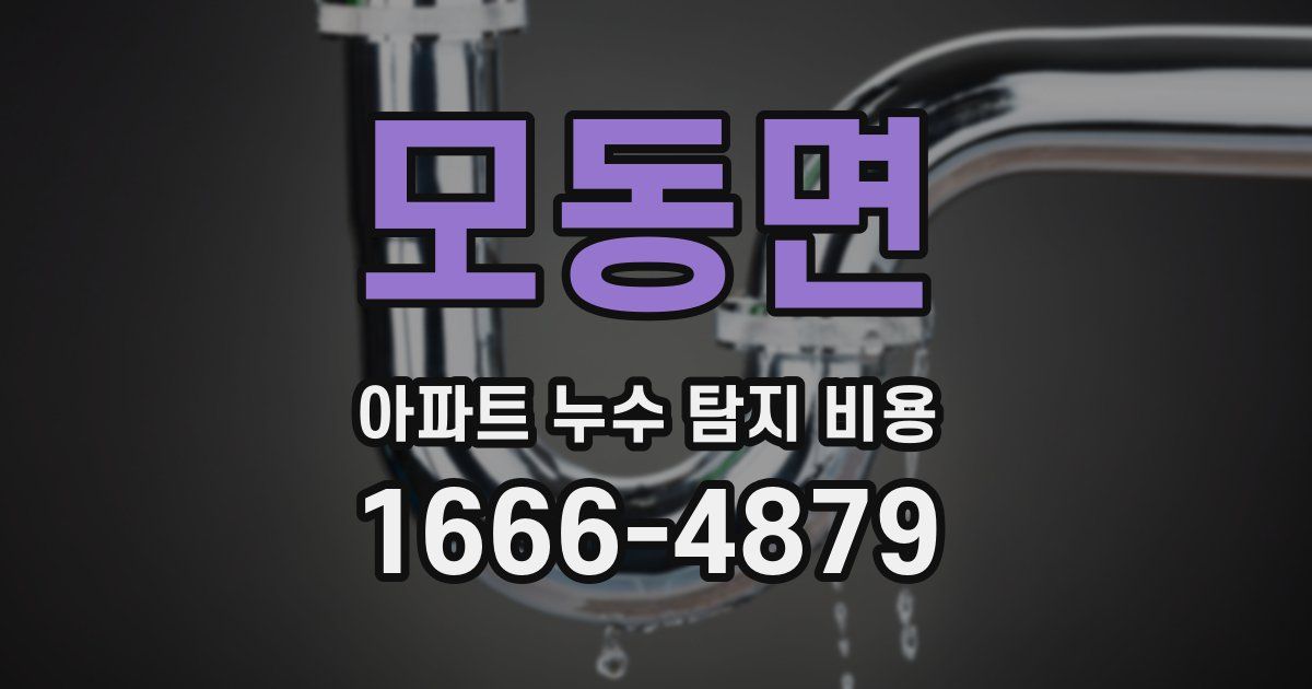 모동면 아파트 누수 탐지 비용