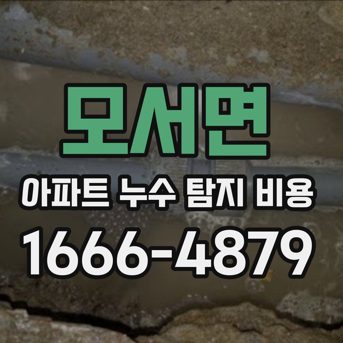 모서면 아파트 누수 탐지 비용
