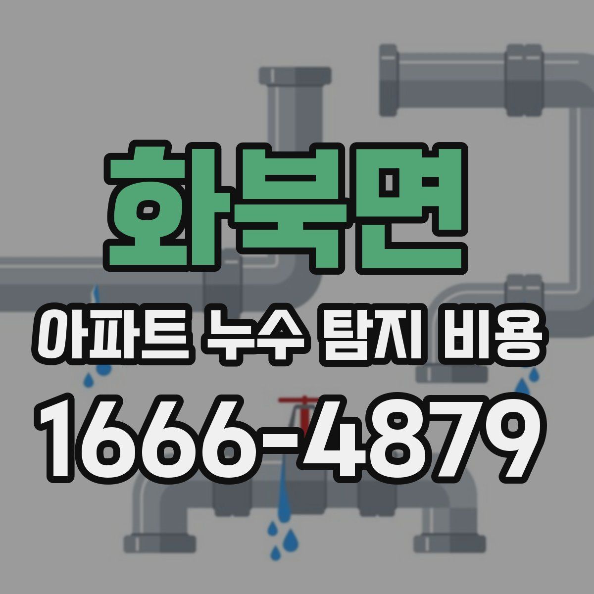 화북면 아파트 누수 탐지 비용
