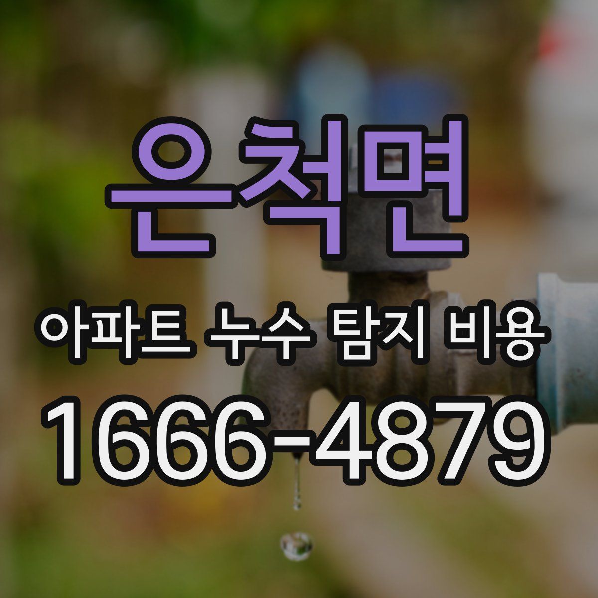 은척면 아파트 누수 탐지 비용