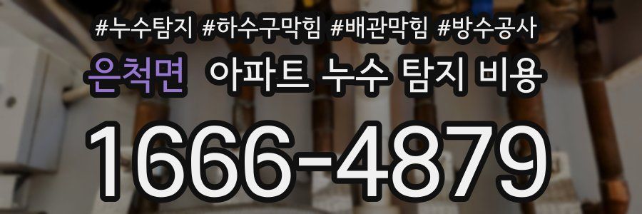 은척면 아파트 누수 탐지 비용