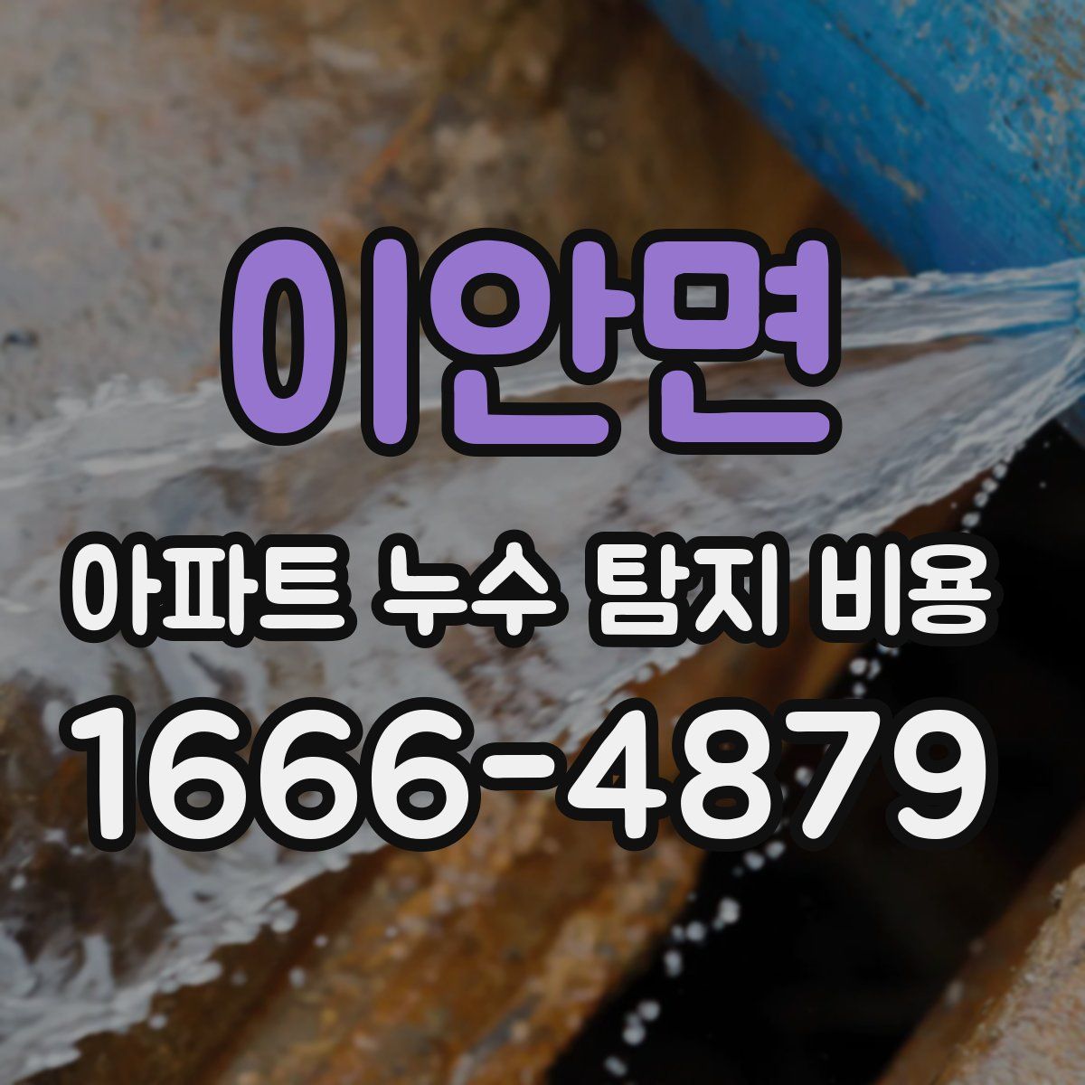이안면 아파트 누수 탐지 비용