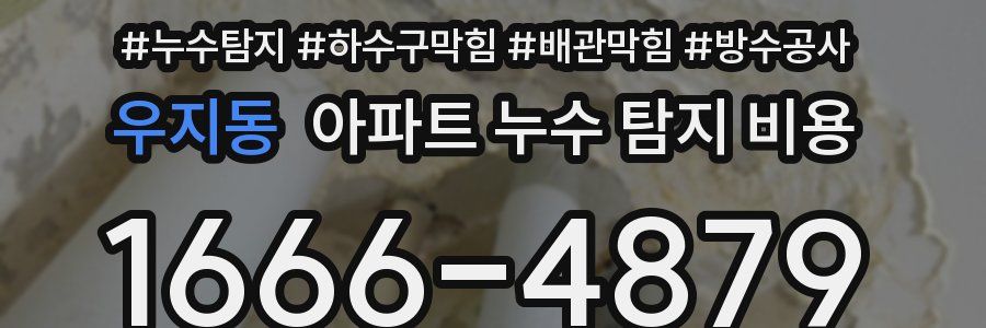 우지동 아파트 누수 탐지 비용