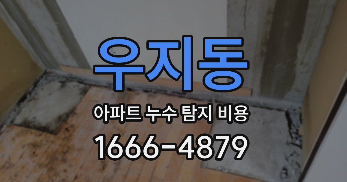 우지동 아파트 누수 탐지 비용