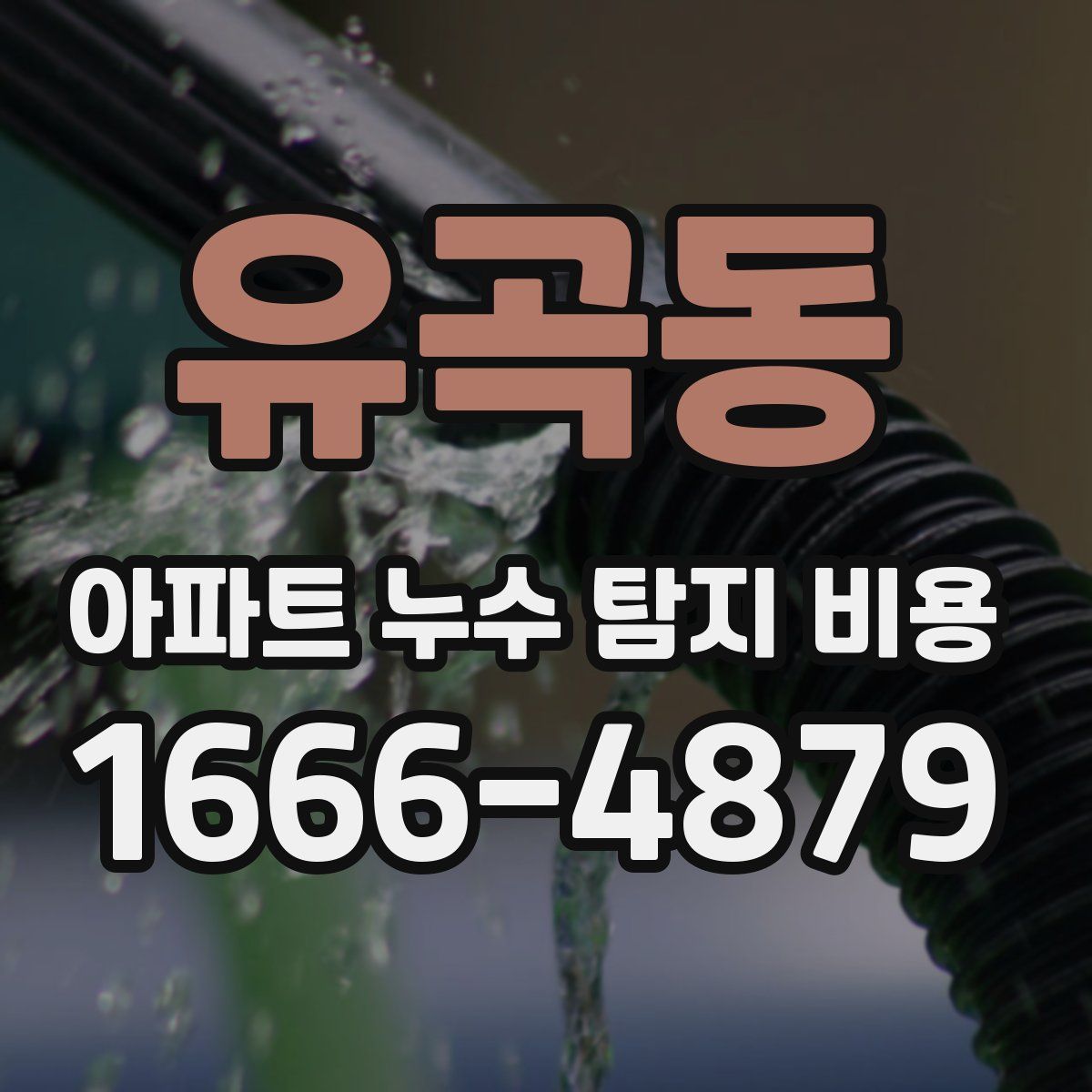 유곡동 아파트 누수 탐지 비용