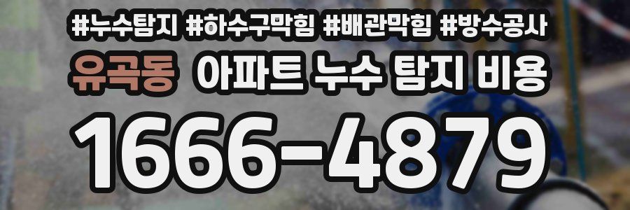유곡동 아파트 누수 탐지 비용