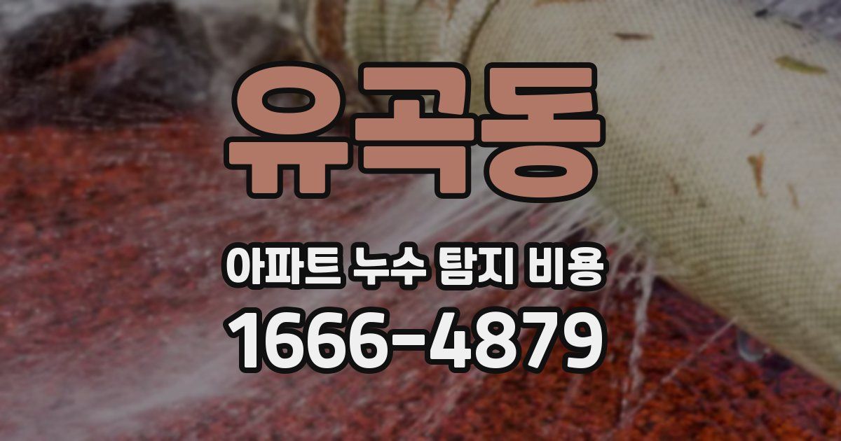 유곡동 아파트 누수 탐지 비용