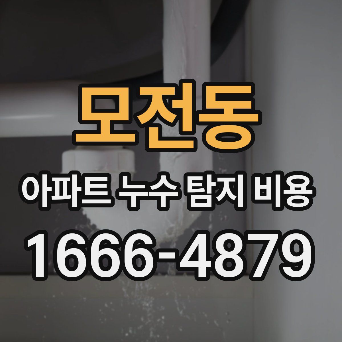 모전동 아파트 누수 탐지 비용