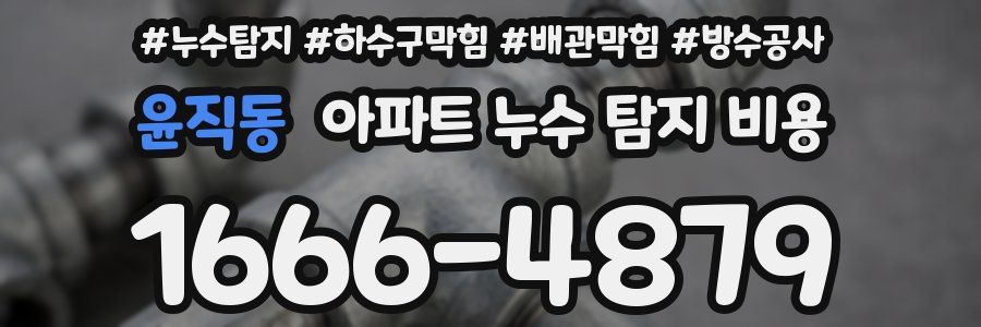 윤직동 아파트 누수 탐지 비용