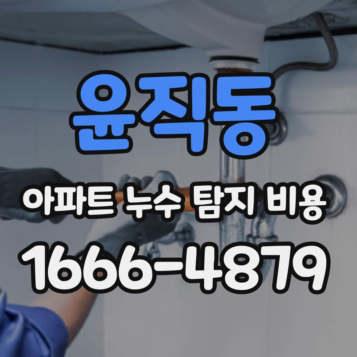 윤직동 아파트 누수 탐지 비용