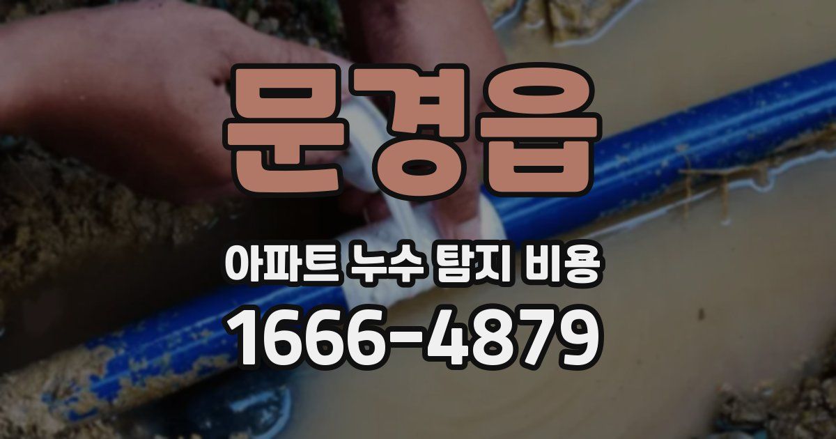 문경읍 아파트 누수 탐지 비용