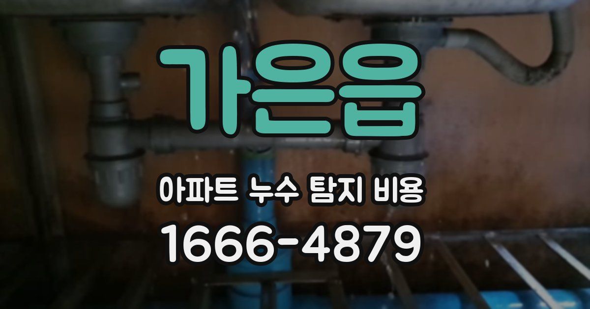 가은읍 아파트 누수 탐지 비용