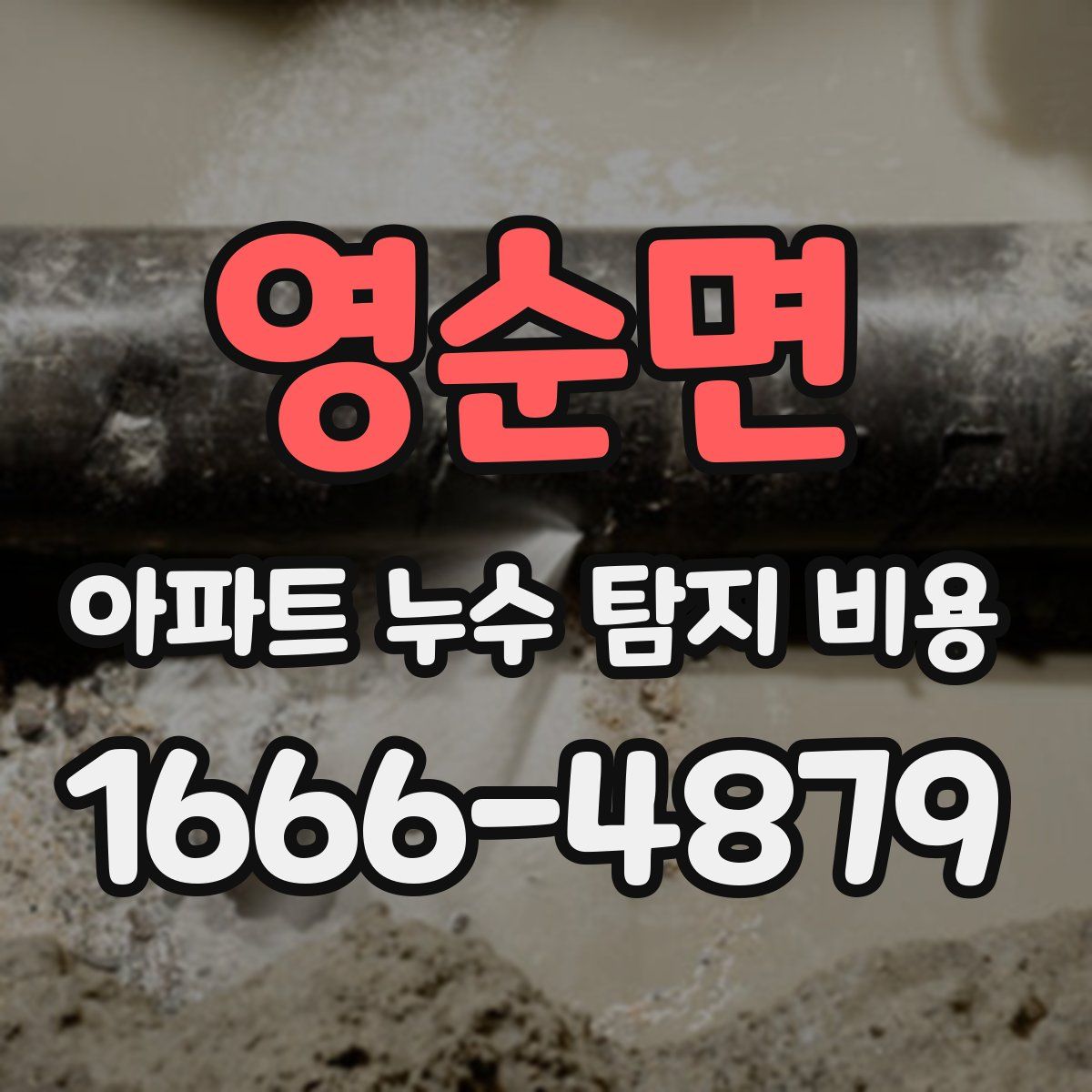 영순면 아파트 누수 탐지 비용