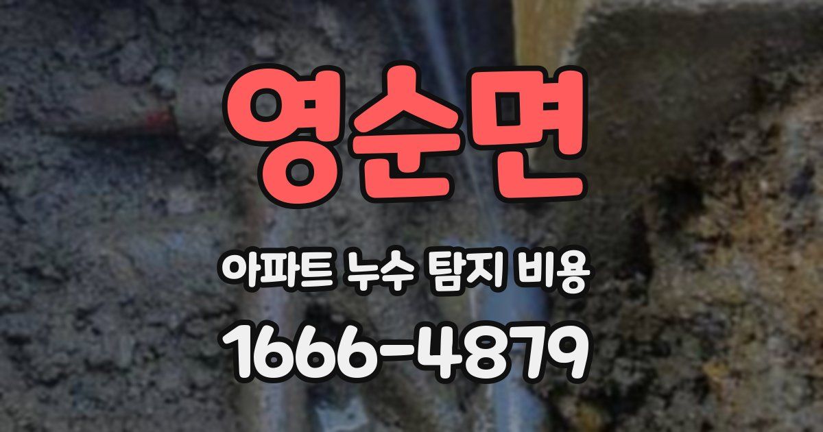 영순면 아파트 누수 탐지 비용