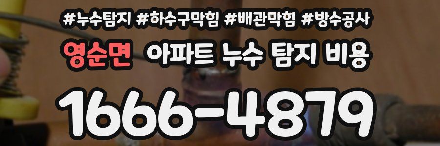 영순면 아파트 누수 탐지 비용