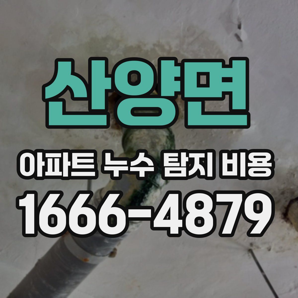 산양면 아파트 누수 탐지 비용