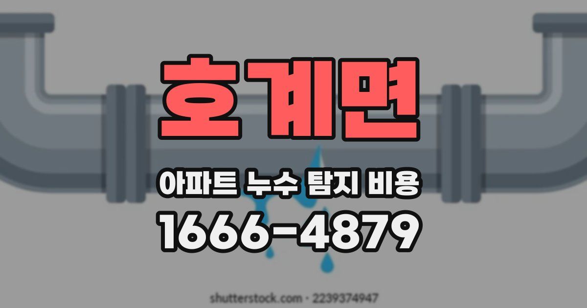 호계면 아파트 누수 탐지 비용