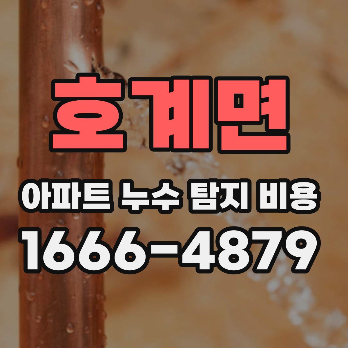 호계면 아파트 누수 탐지 비용