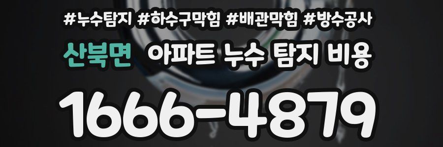 산북면 아파트 누수 탐지 비용
