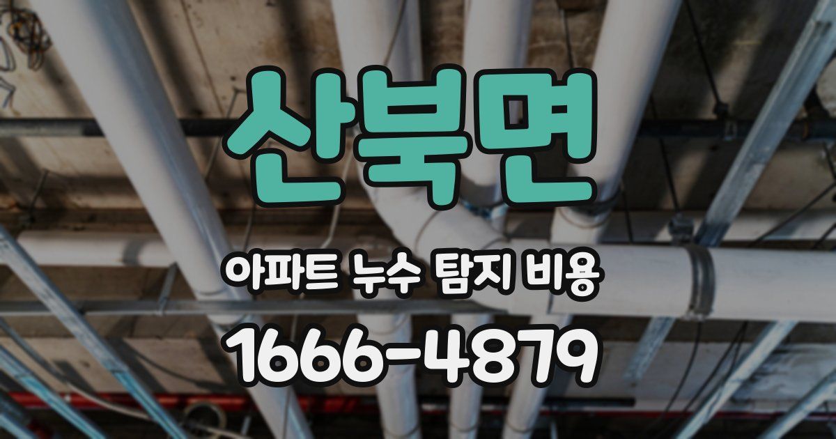 산북면 아파트 누수 탐지 비용