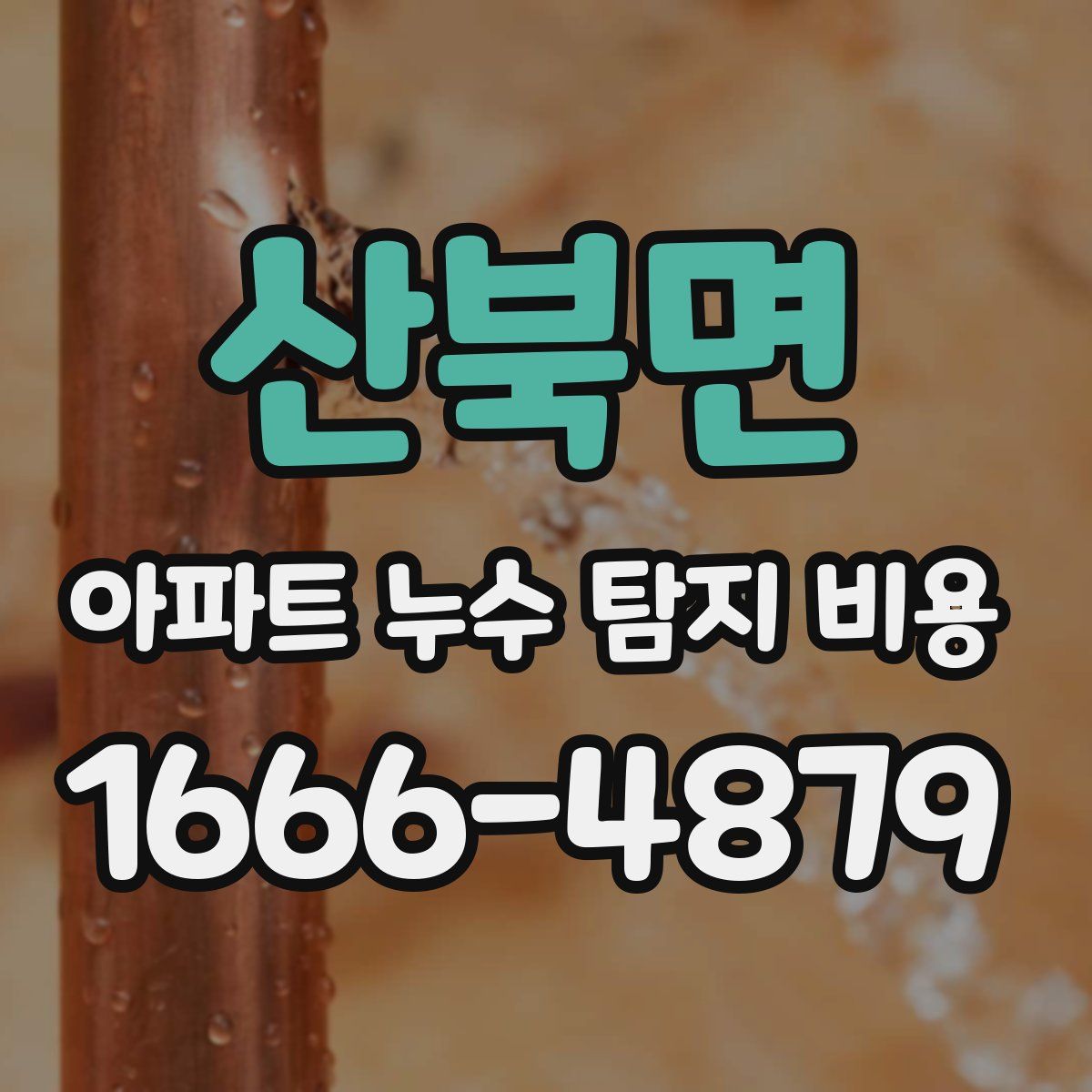 산북면 아파트 누수 탐지 비용