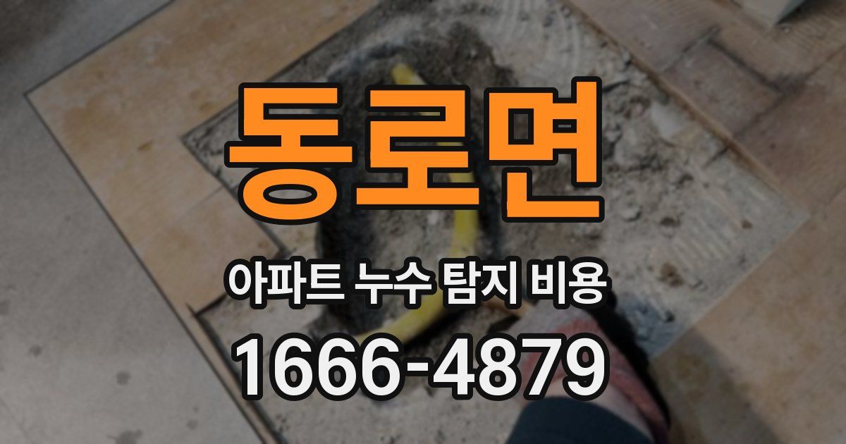 동로면 아파트 누수 탐지 비용