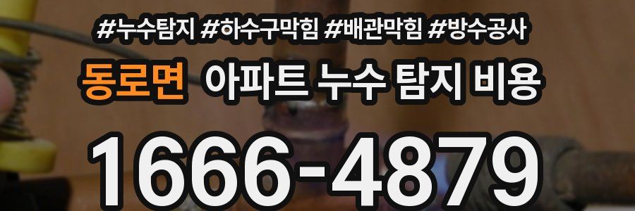 동로면 아파트 누수 탐지 비용