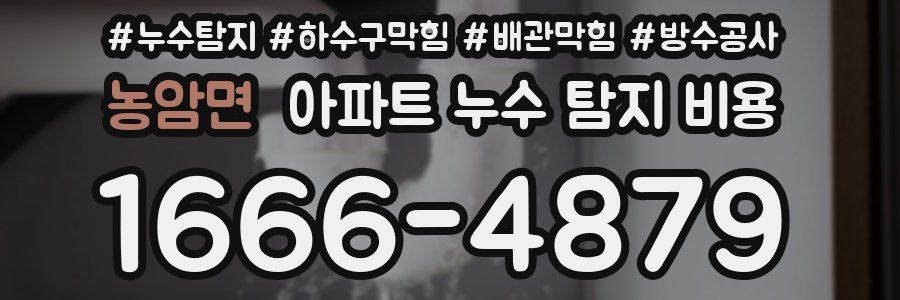 농암면 아파트 누수 탐지 비용