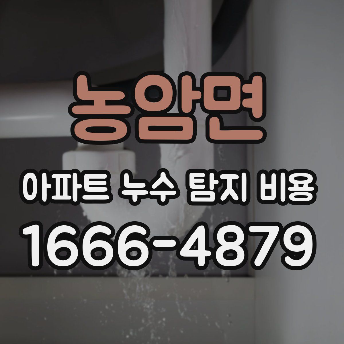 농암면 아파트 누수 탐지 비용
