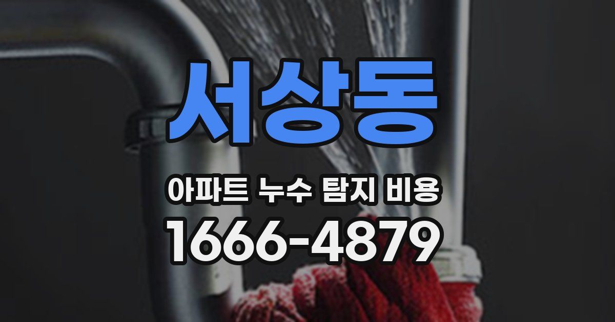 서상동 아파트 누수 탐지 비용