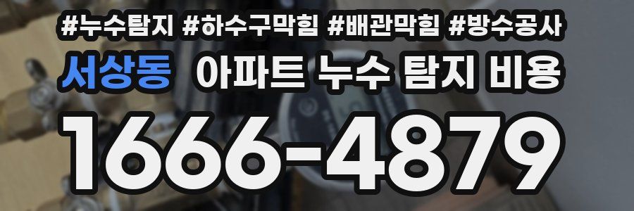 서상동 아파트 누수 탐지 비용