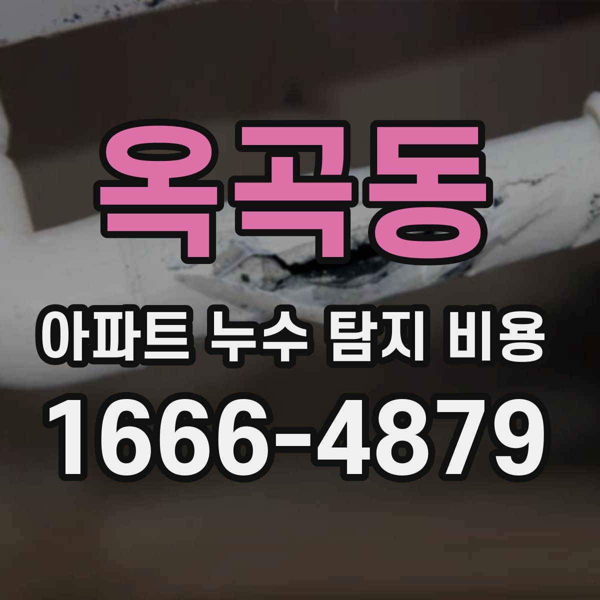 옥곡동 아파트 누수 탐지 비용