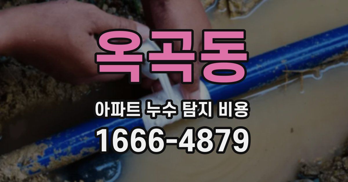 옥곡동 아파트 누수 탐지 비용