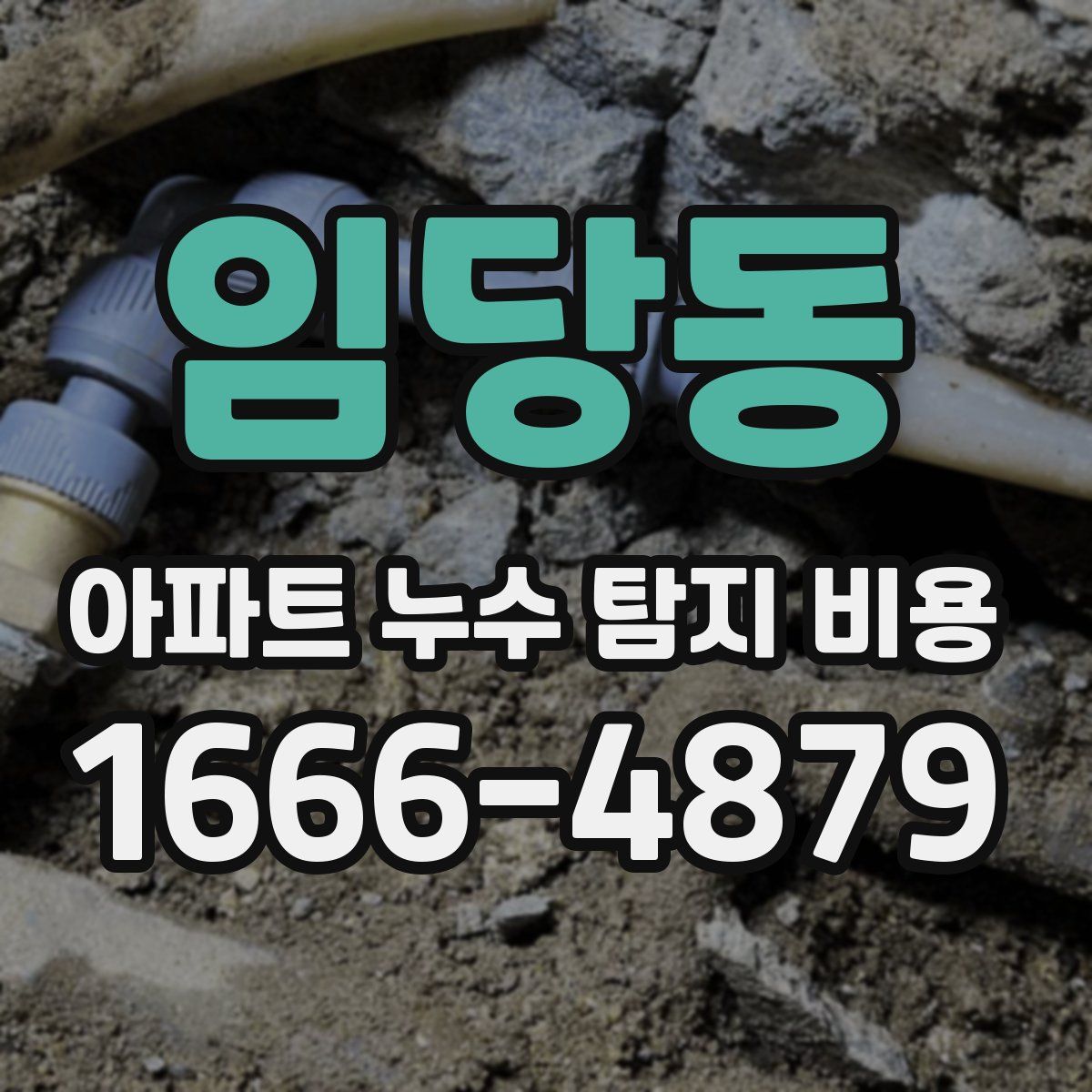 임당동 아파트 누수 탐지 비용