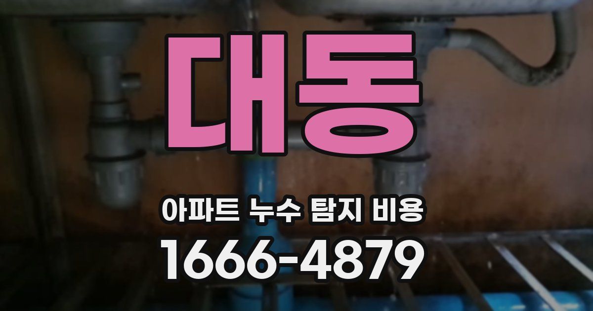 대동 아파트 누수 탐지 비용