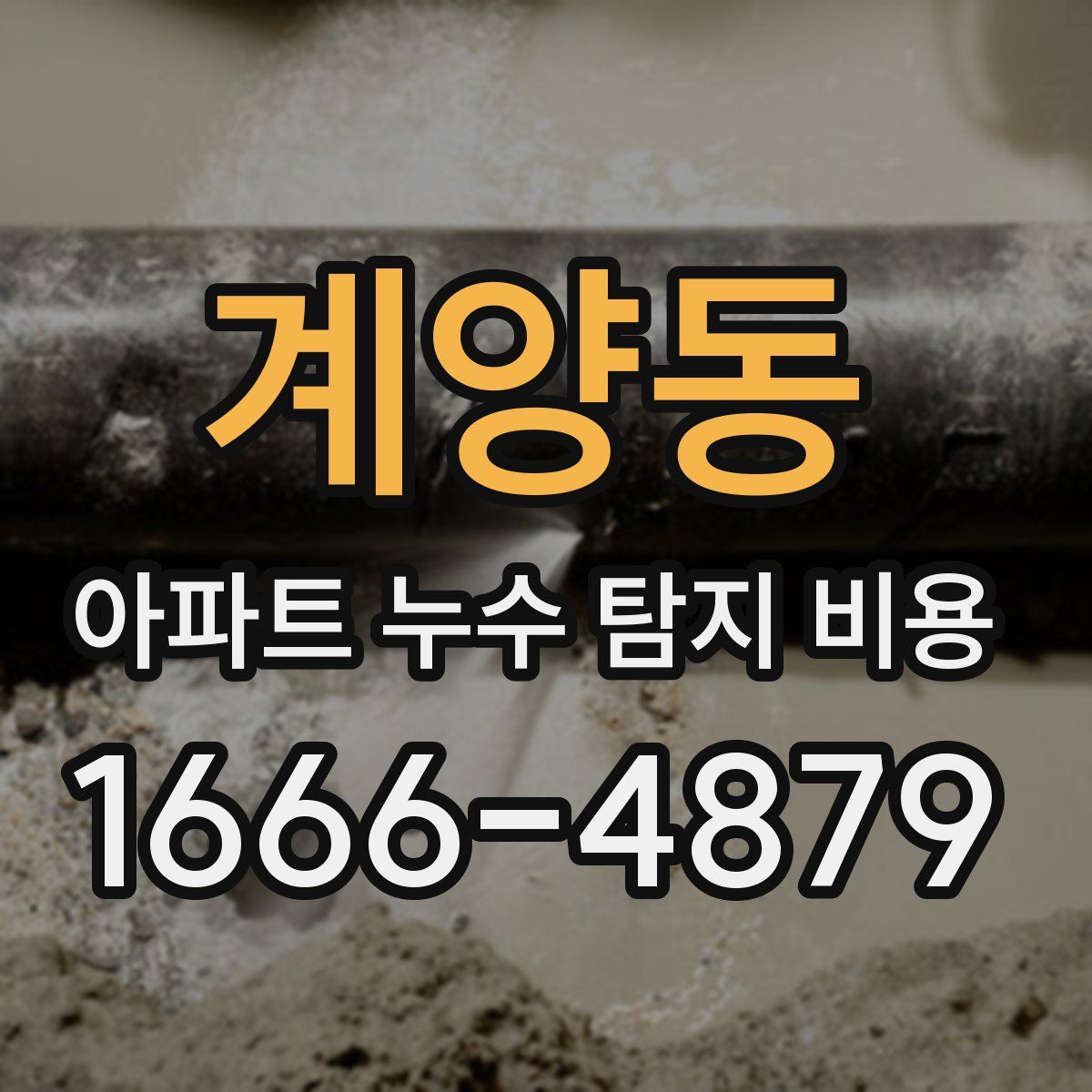 계양동 아파트 누수 탐지 비용