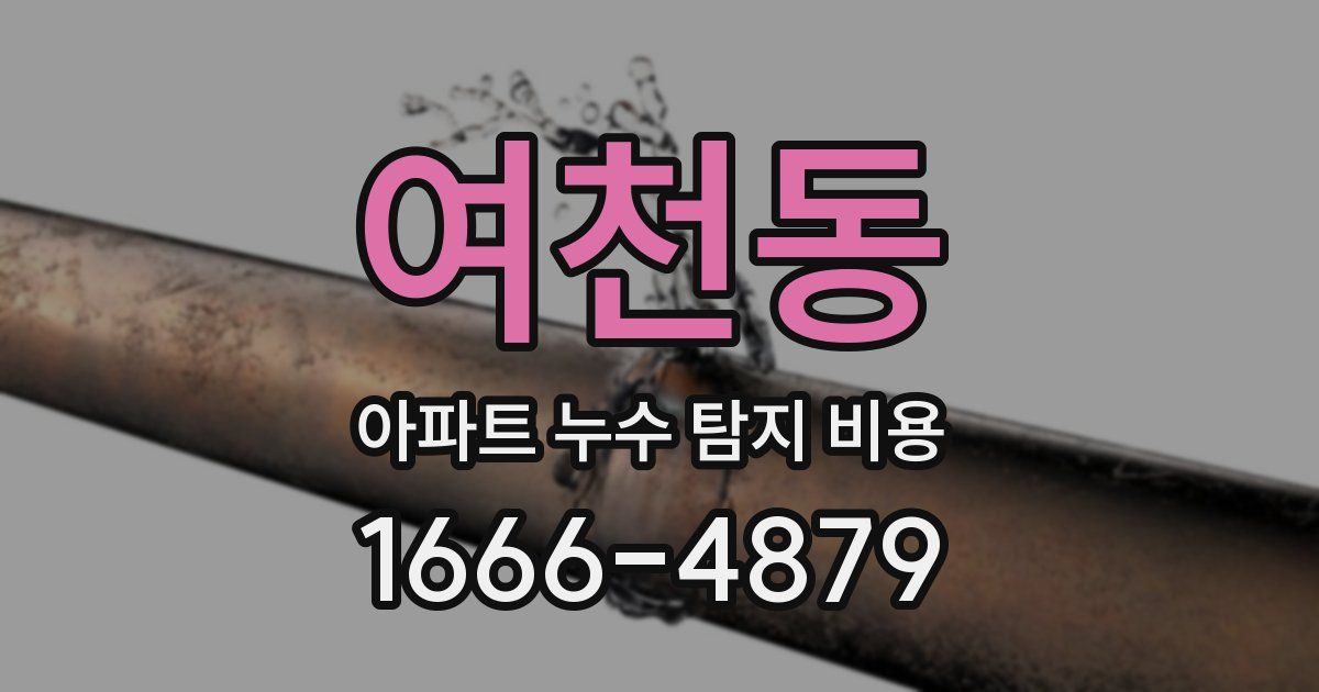 여천동 아파트 누수 탐지 비용