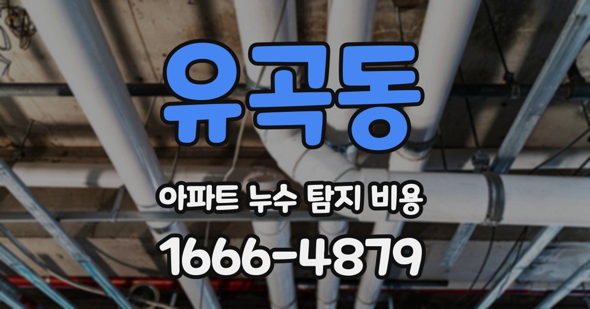 유곡동 아파트 누수 탐지 비용