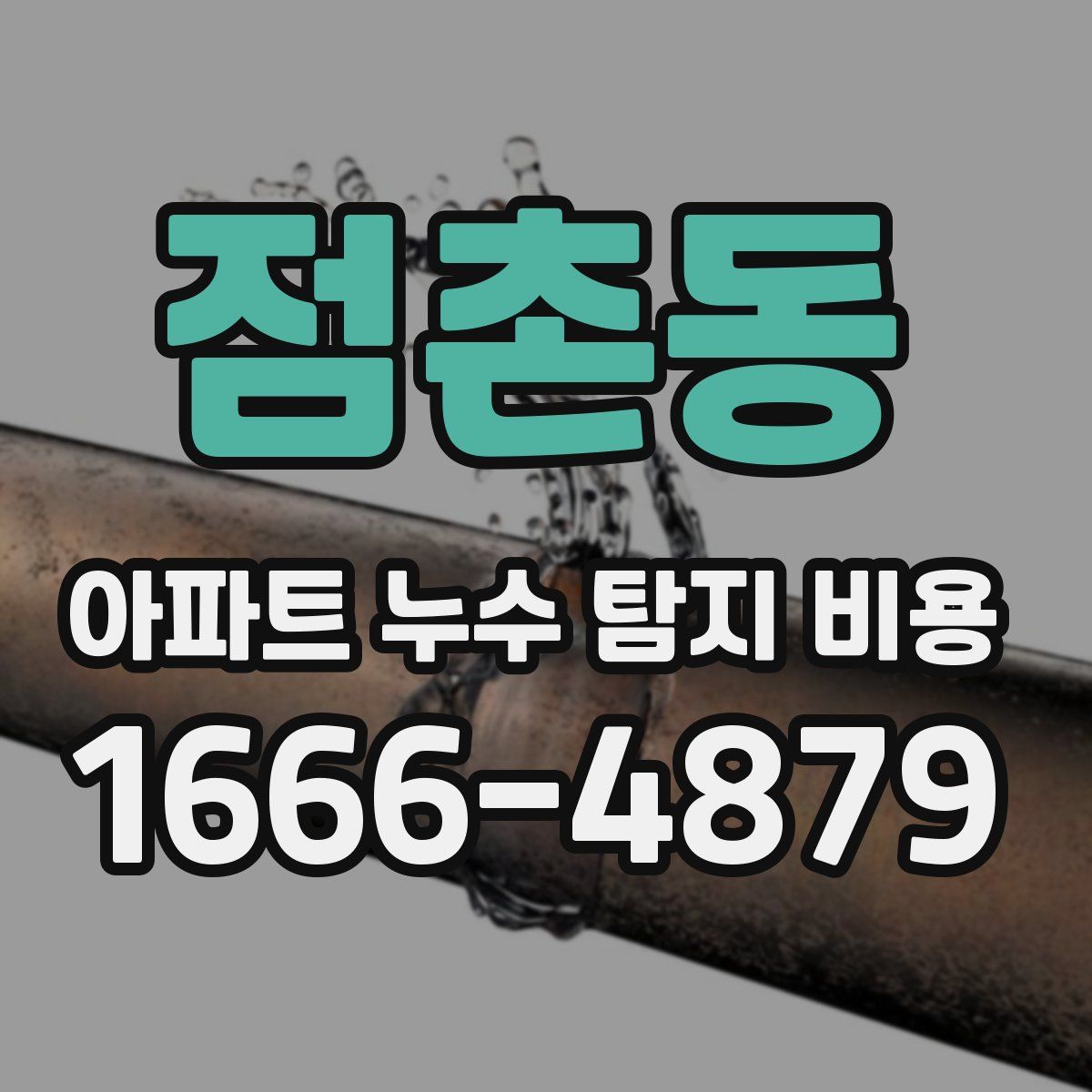 점촌동 아파트 누수 탐지 비용