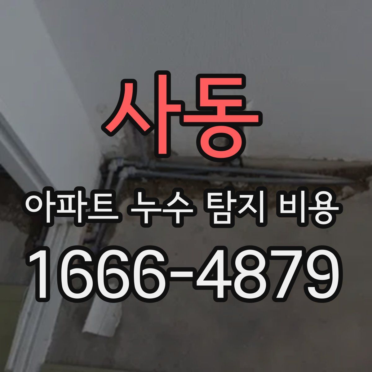 사동 아파트 누수 탐지 비용