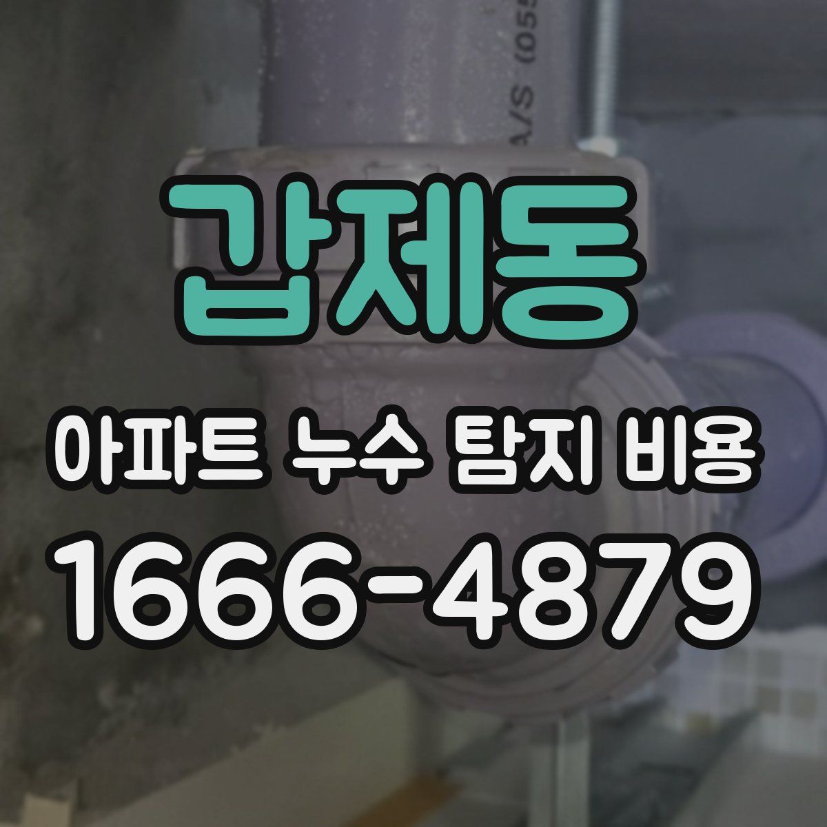 갑제동 아파트 누수 탐지 비용