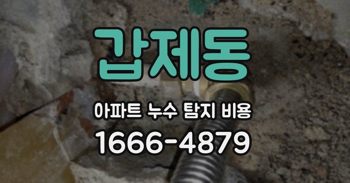 갑제동 아파트 누수 탐지 비용
