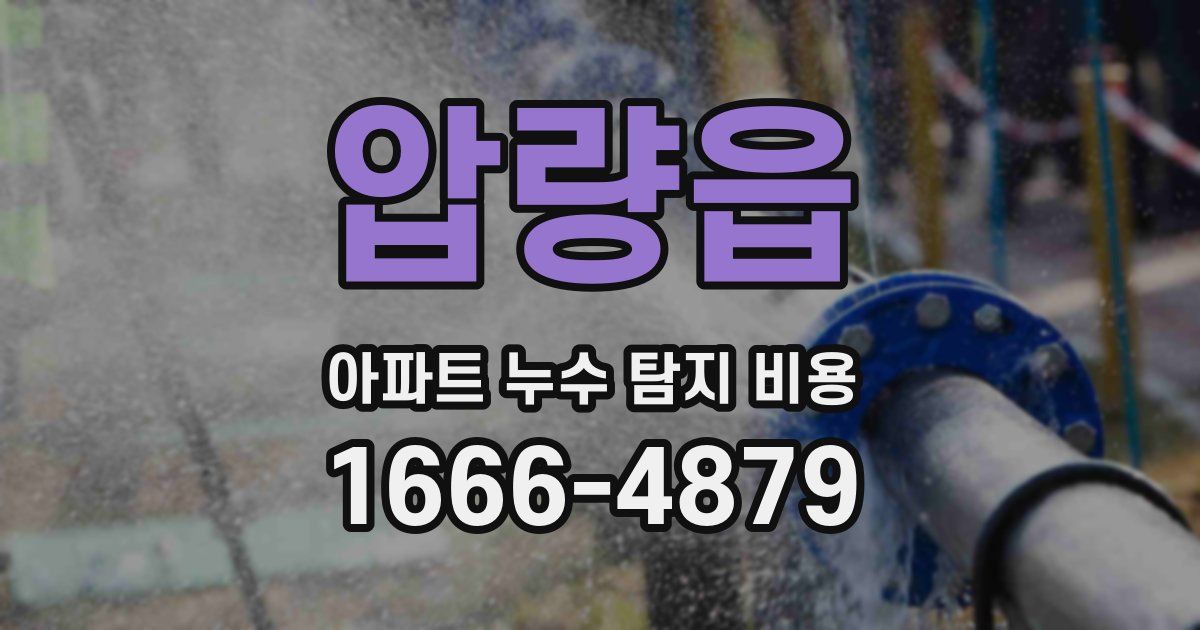 압량읍 아파트 누수 탐지 비용