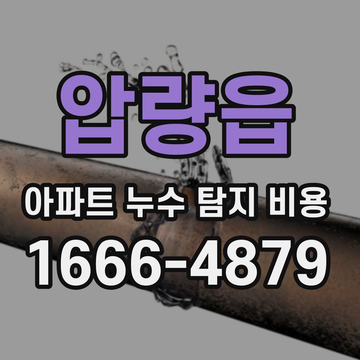 압량읍 아파트 누수 탐지 비용