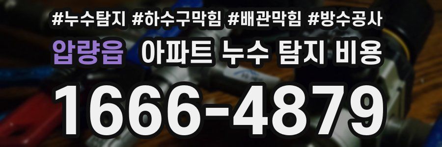 압량읍 아파트 누수 탐지 비용
