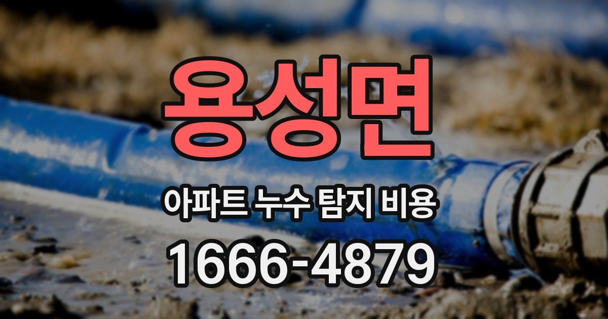 용성면 아파트 누수 탐지 비용